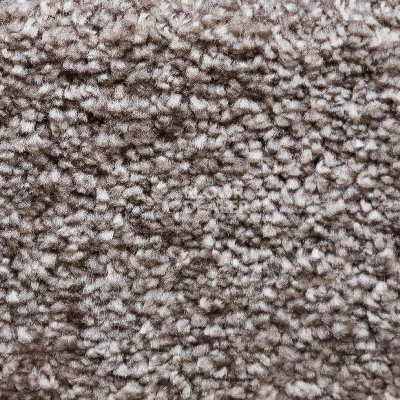 Ковролин AW Masquerade Costanza 49 фото 1 | FLOORDEALER